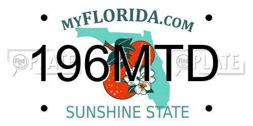 196MTD Florida License Plate