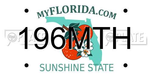 196MTH Florida License Plate