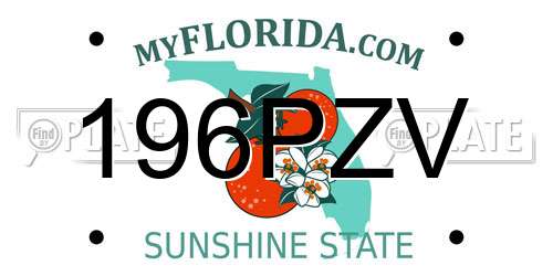 196PZV Florida License Plate