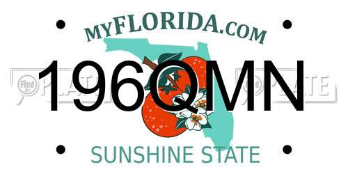196QMN Florida License Plate