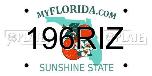 196RIZ Florida License Plate
