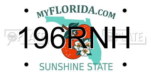196RNH Florida License Plate