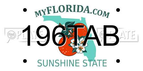 196TAB Florida License Plate