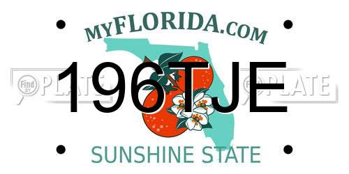 196TJE Florida License Plate