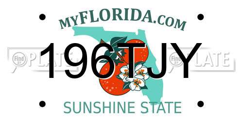 196TJY Florida License Plate