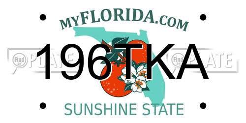196TKA Florida License Plate