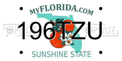 196TZU Florida License Plate