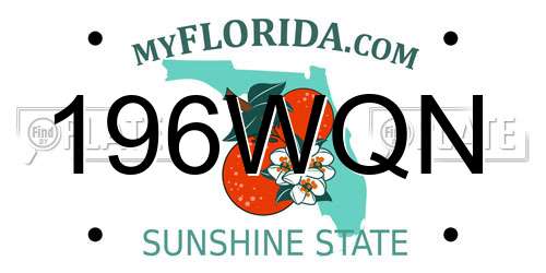 196WQN Florida License Plate