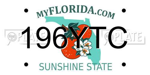 196YTC Florida License Plate