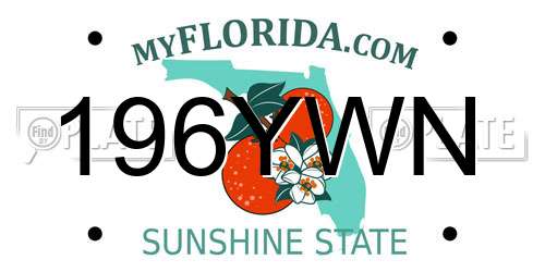 196YWN Florida License Plate