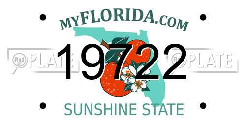19722 Florida License Plate