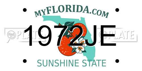 1972JE Florida License Plate