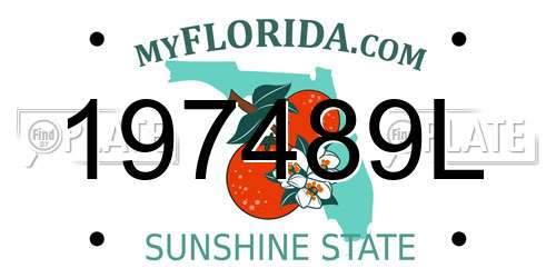197489L Florida License Plate