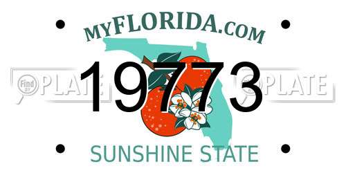 19773 Florida License Plate