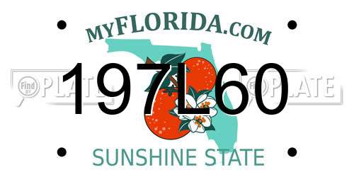 197L60 Florida License Plate