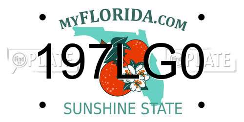197LG0 Florida License Plate