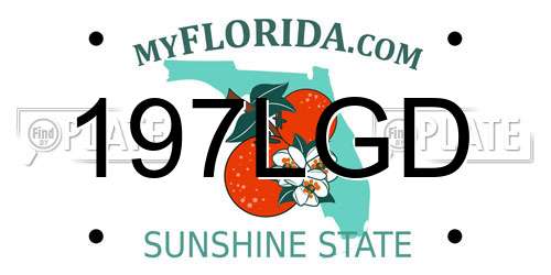 197LGD Florida License Plate