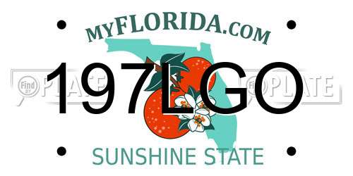 197LGO Florida License Plate