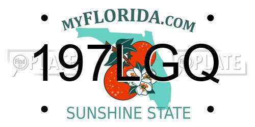197LGQ Florida License Plate