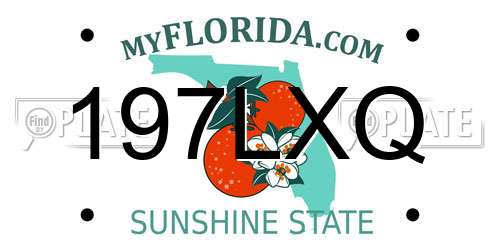 197LXQ Florida License Plate