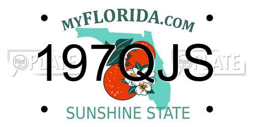 197QJS Florida License Plate