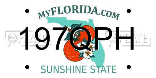 197QPH Florida License Plate