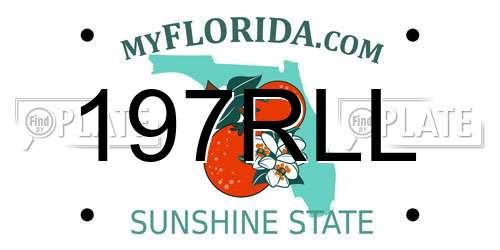 197RLL Florida License Plate