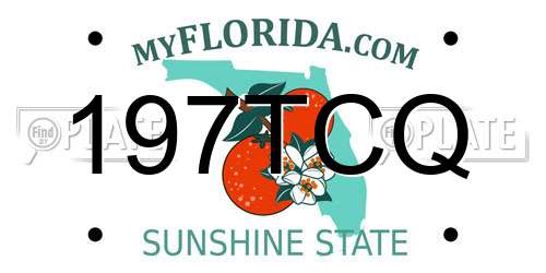 197TCQ Florida License Plate