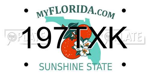 197TXK Florida License Plate