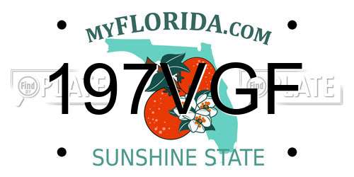 197VGF Florida License Plate
