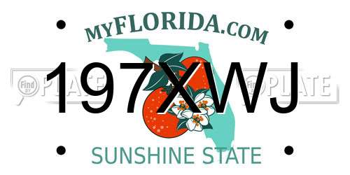 197XWJ Florida License Plate