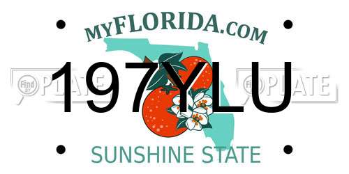 197YLU Florida License Plate
