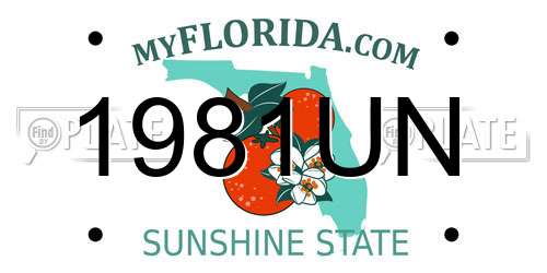 1981UN Florida License Plate