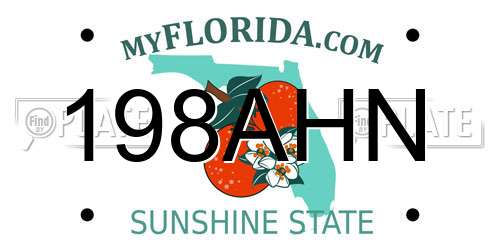 198AHN Florida License Plate