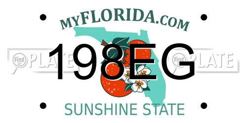 198EG Florida License Plate