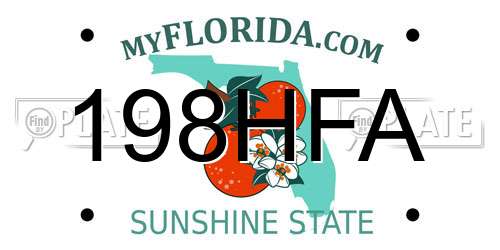 198HFA Florida License Plate