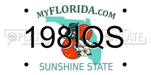 198IQS Florida License Plate