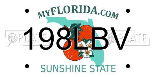 198LBV Florida License Plate