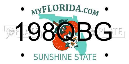 198QBG Florida License Plate