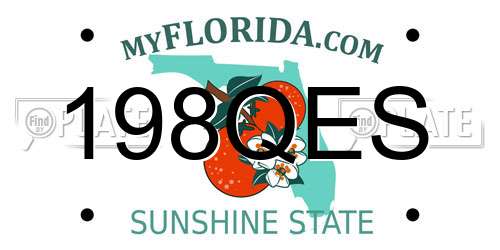 198QES Florida License Plate