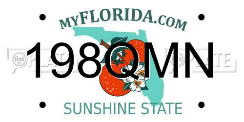 198QMN Florida License Plate