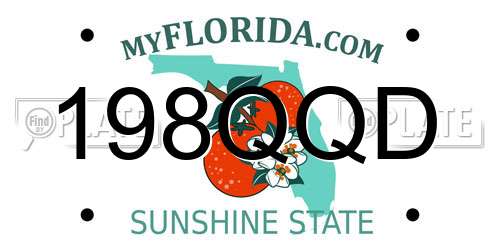 198QQD Florida License Plate