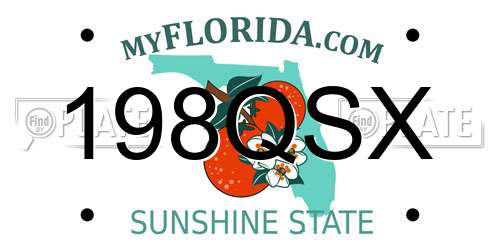 198QSX Florida License Plate