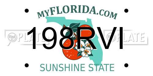 198RVI Florida License Plate