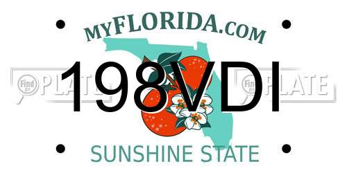 198VDI Florida License Plate
