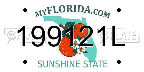 199121L Florida License Plate