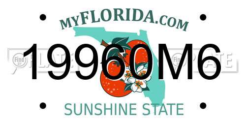 19960M6 Florida License Plate