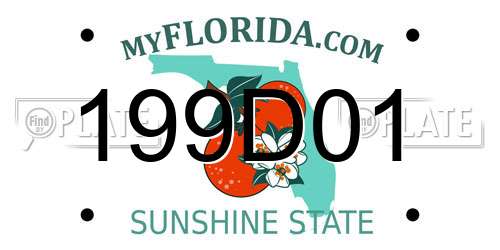 199D01 Florida License Plate