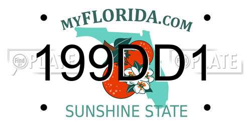 199DD1 Florida License Plate