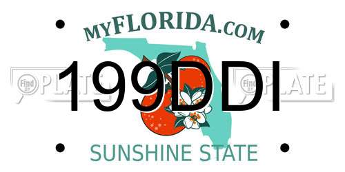 199DDI Florida License Plate